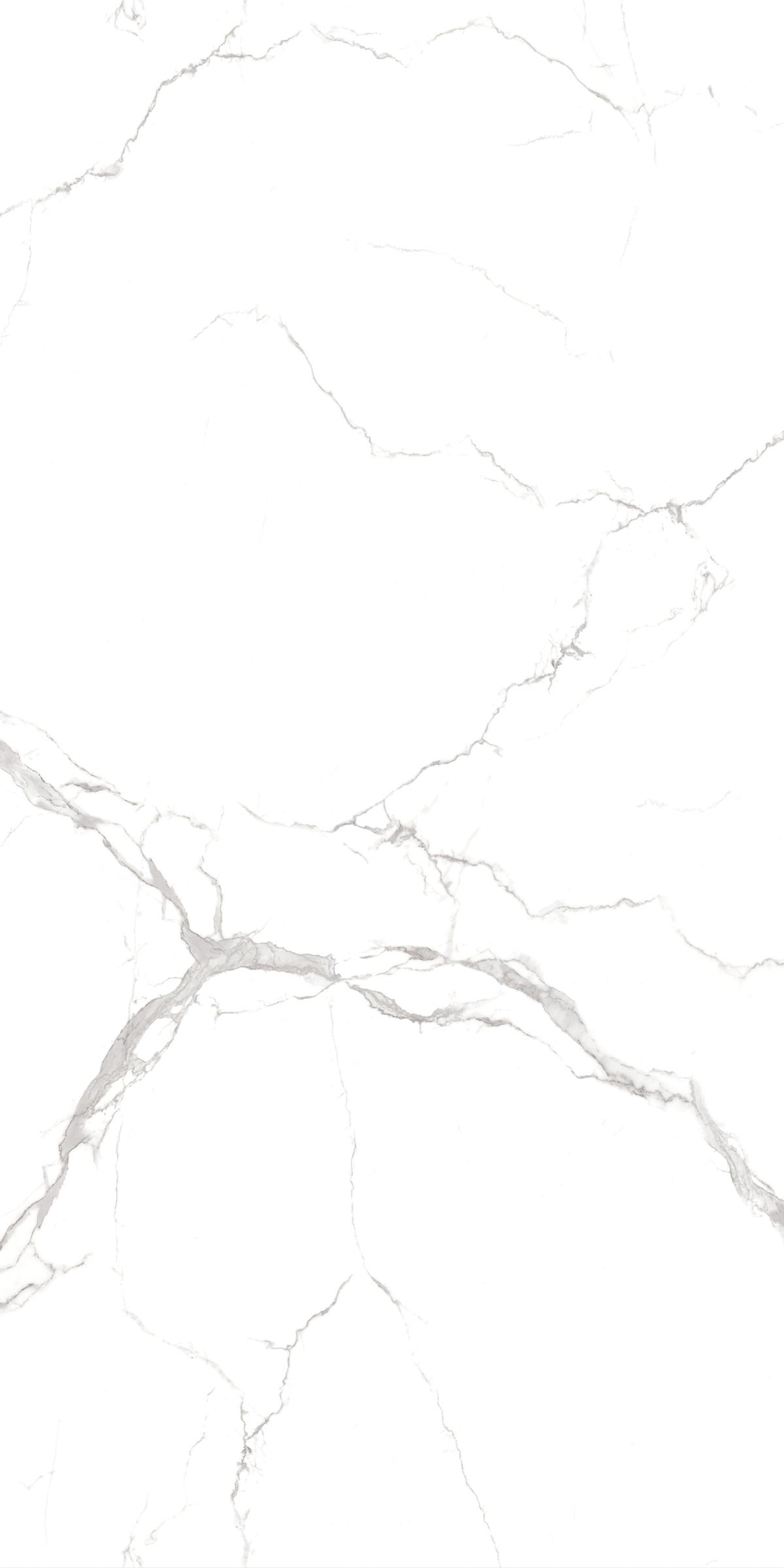 tu0255=statuario vivo(1200x2400x8face)(1) JC1 EDIT5 P4