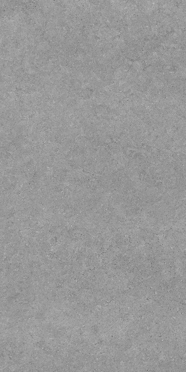 FOREVER GRIS-R2
