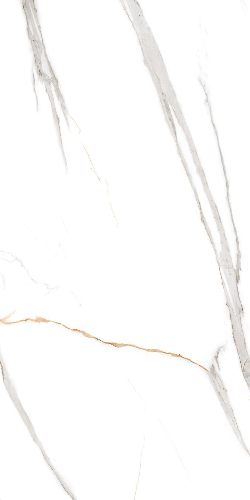 BURGAS WHITE_F1