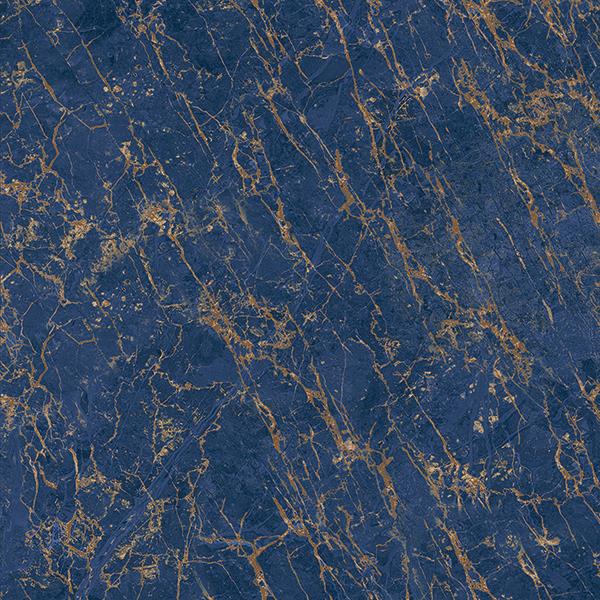 IGNITE BLUE_R3