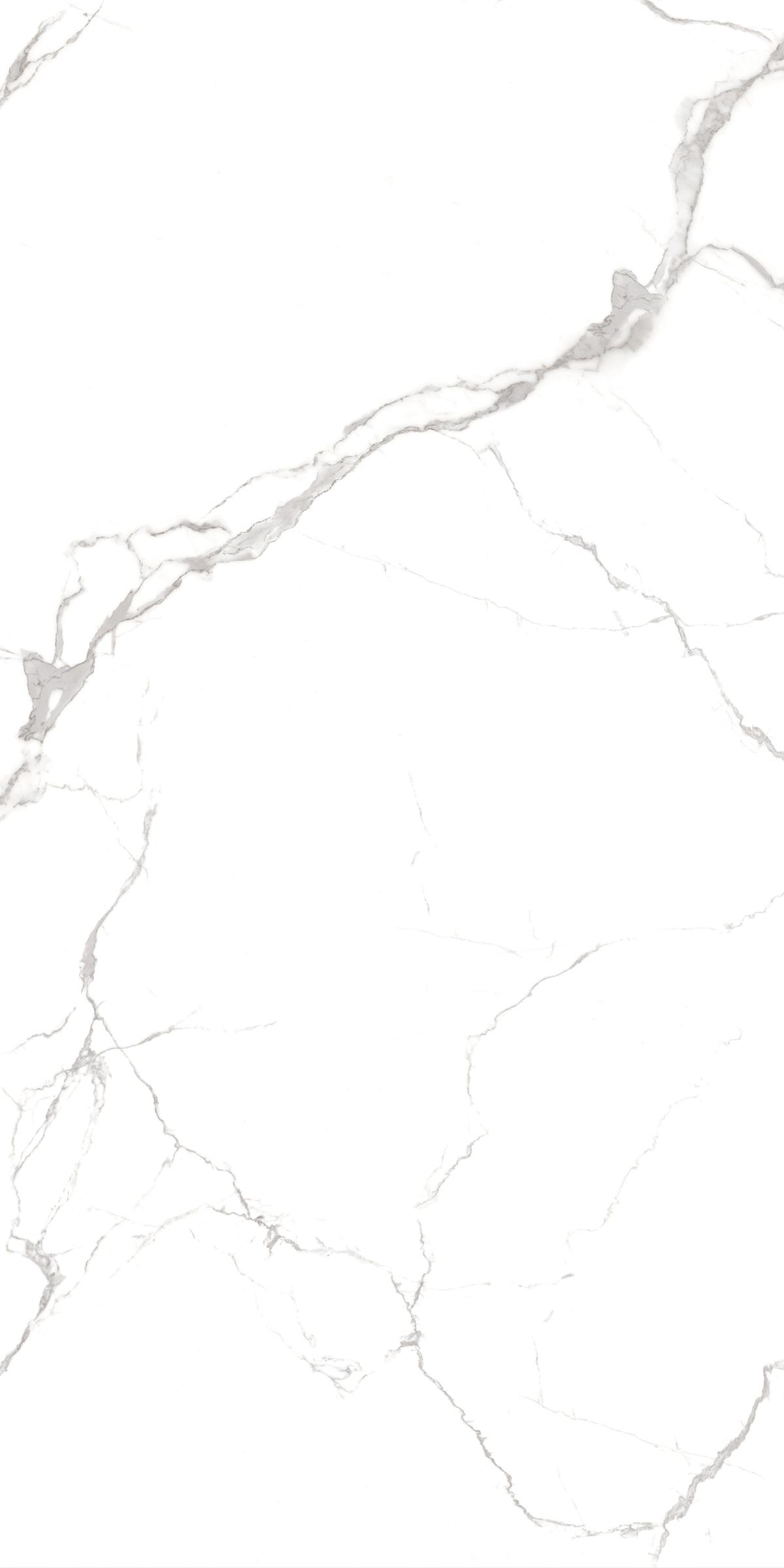 tu0255=statuario vivo(1200x2400x8face)(1) JC1 EDIT5 P6