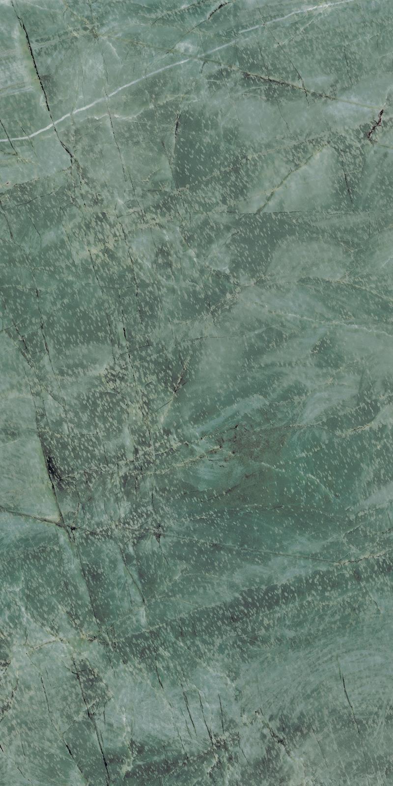 AUGUSTA TEAL_F2