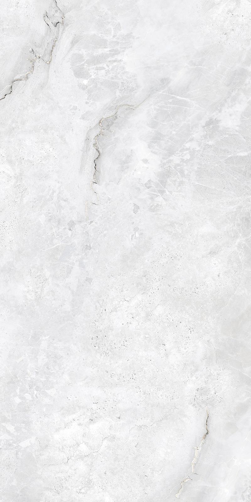 ASH WHITE_F1