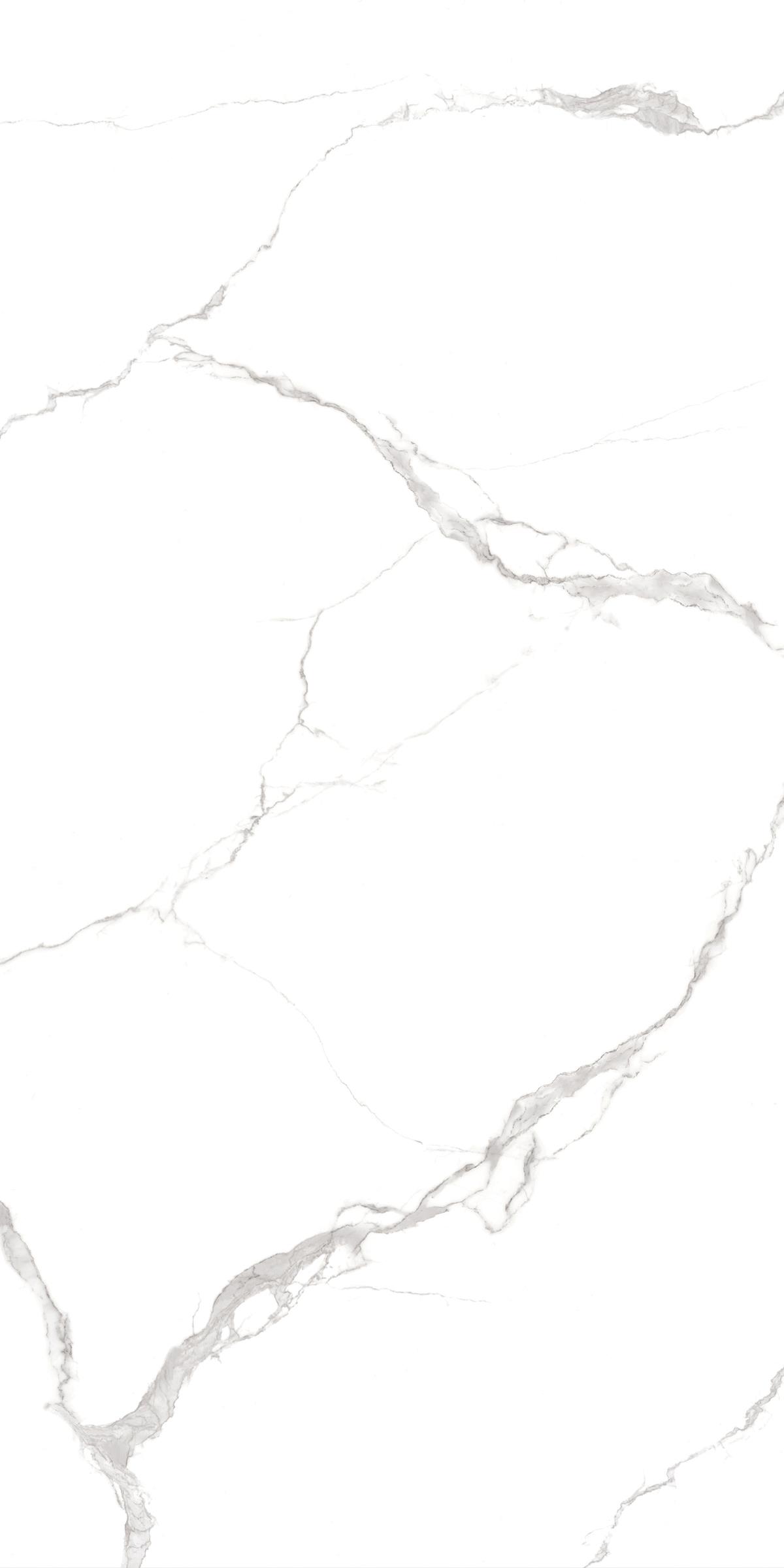 tu0255=statuario vivo(1200x2400x8face)(1) JC1 EDIT5 P5