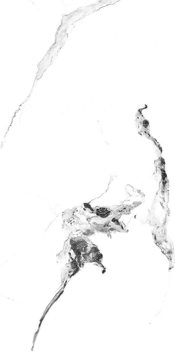 ALASKA WHITE_R3