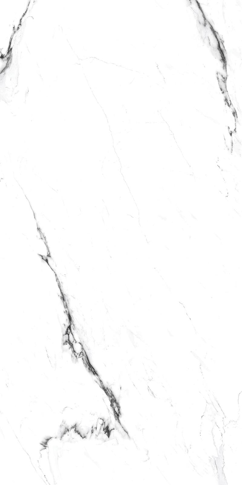 CARRARA BAKU-3