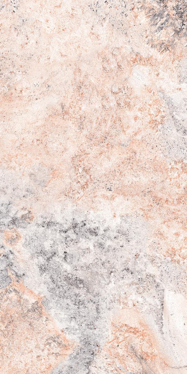 CAMALION CORAL PRIMA_R1