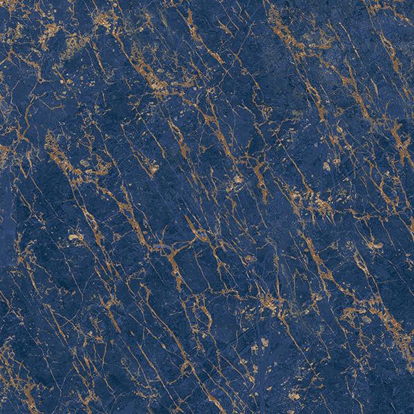 IGNITE BLUE_R2