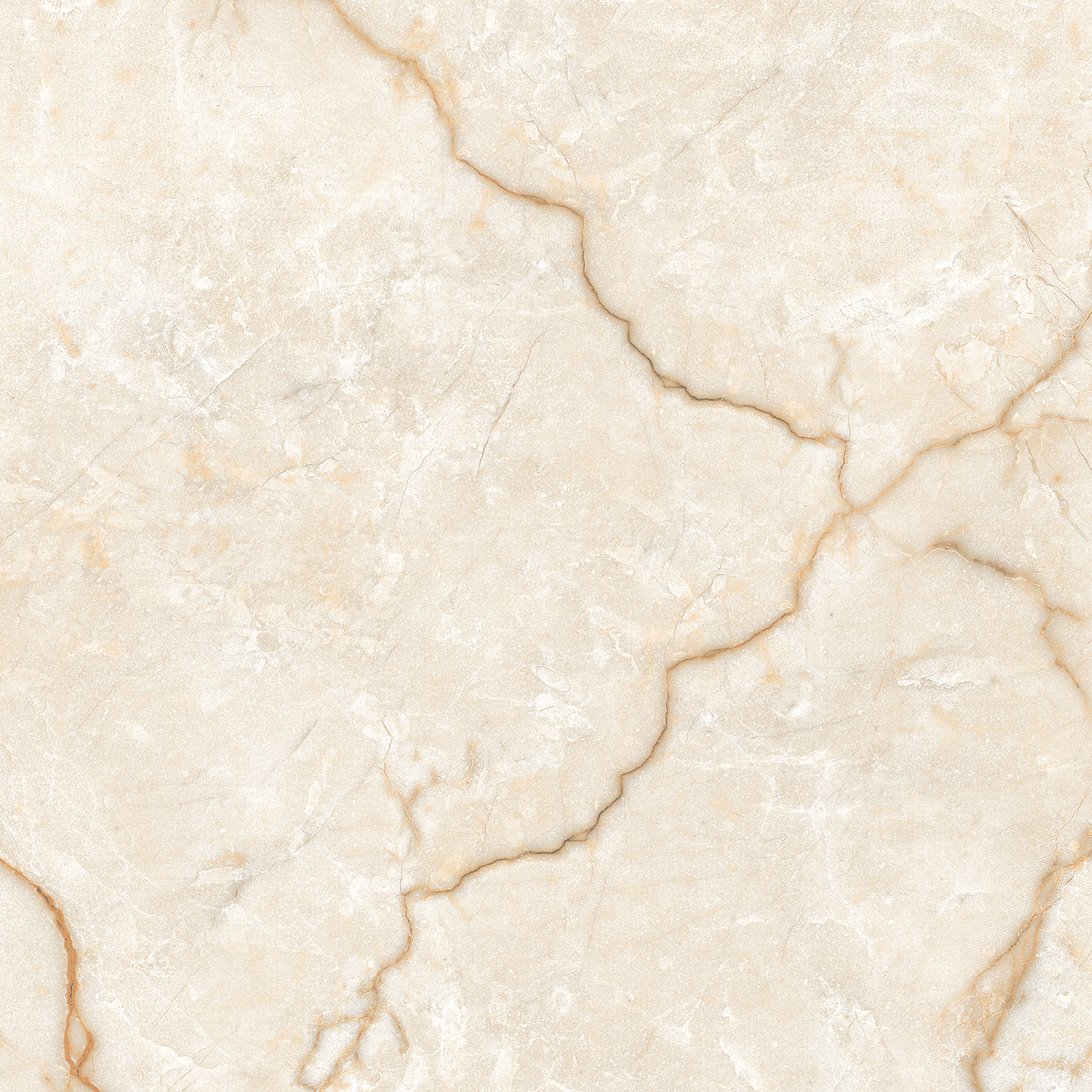 ROYAL BOTTOCHINO BEIGE_R1