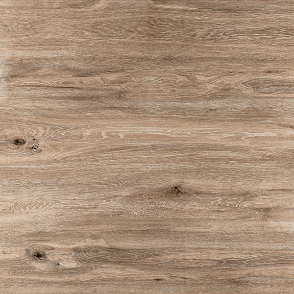 LINEA ASH copy
