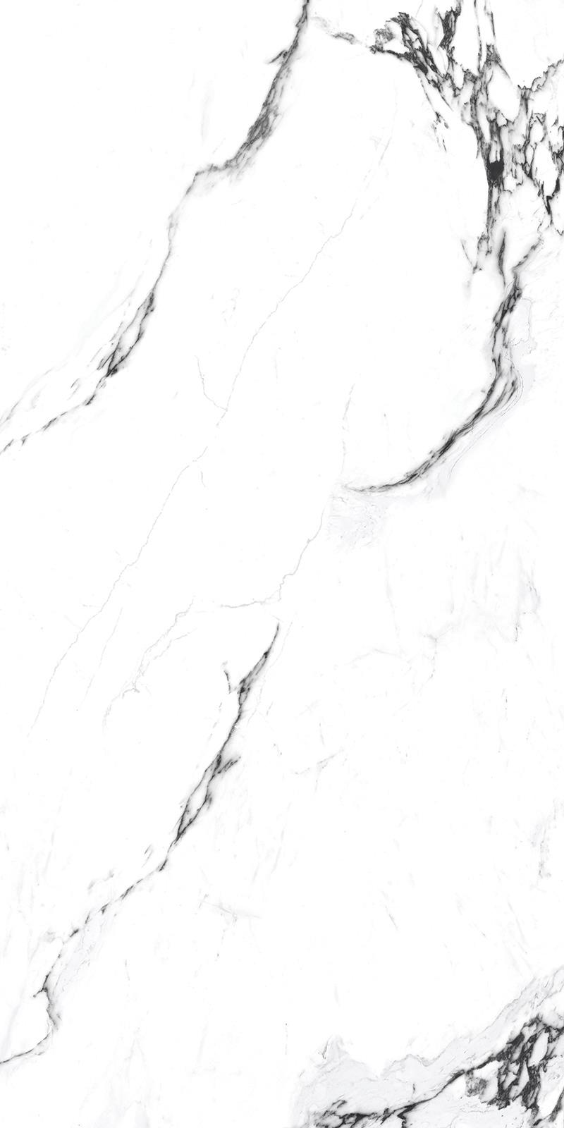 CARRARA BAKU-6