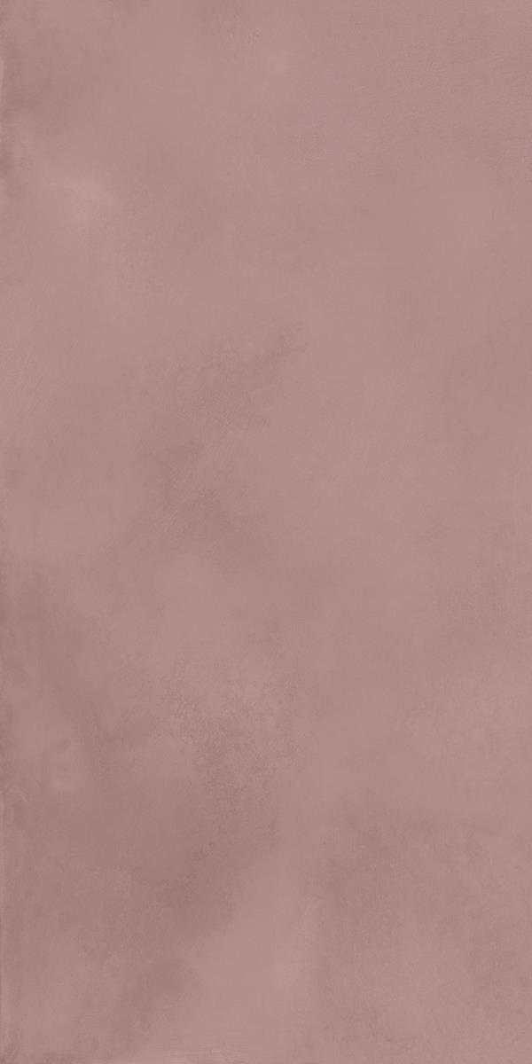 CLOUDY ORCHID_R3