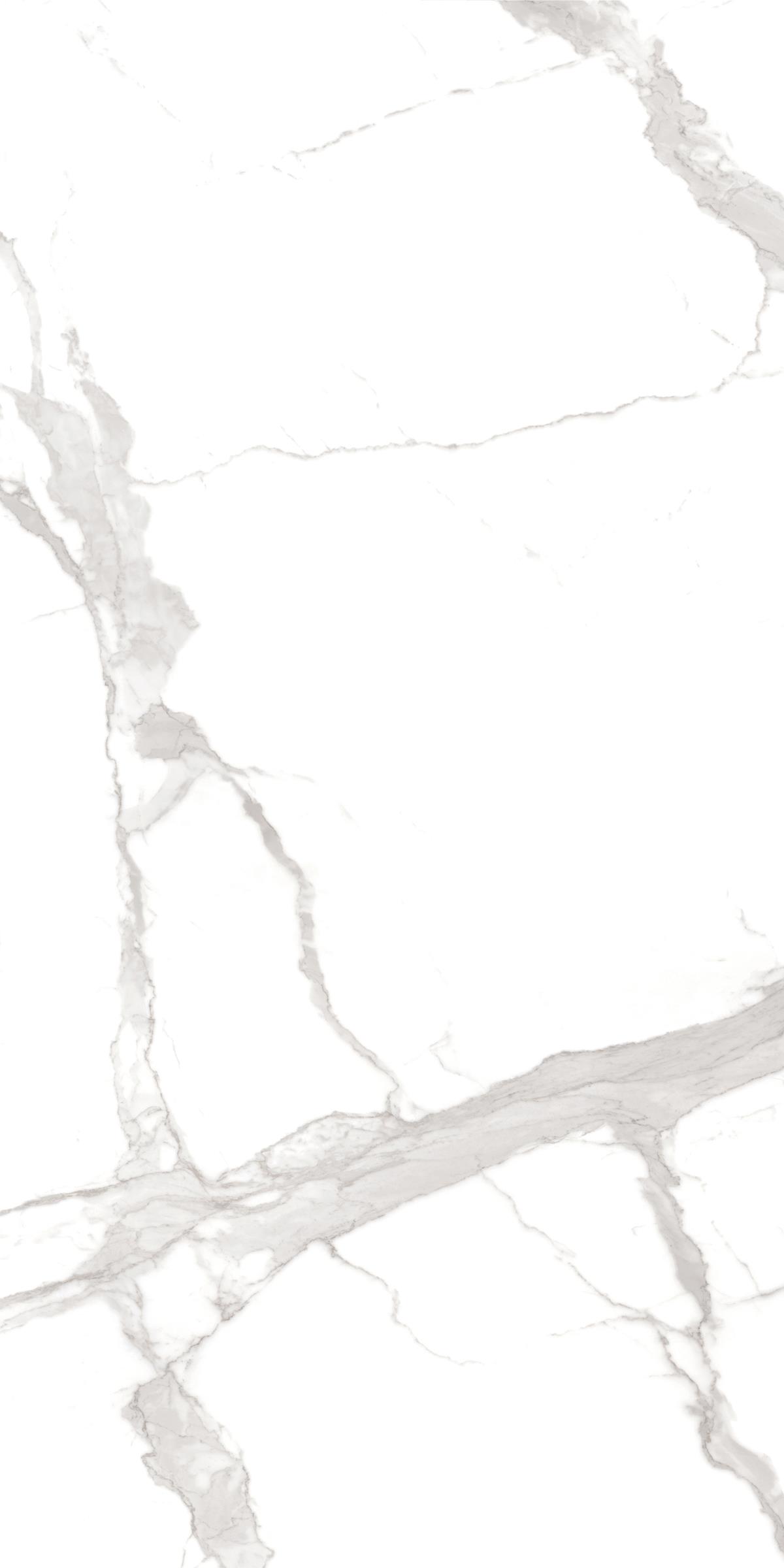 STATUARIO 120X240 JC2 P1