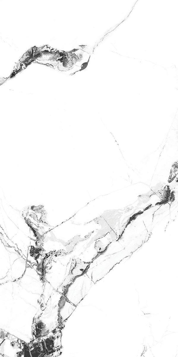ALASKA WHITE_R1