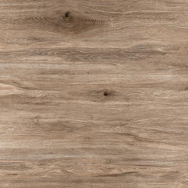 LINEA ASH copy 3