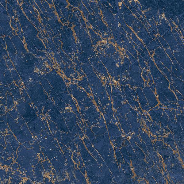 IGNITE BLUE_R1