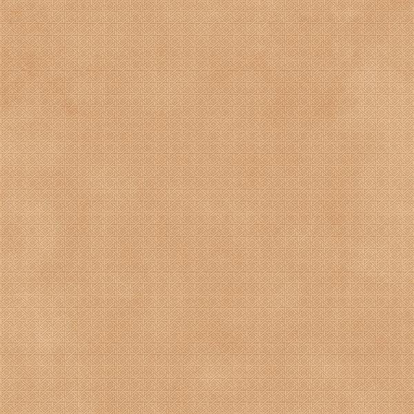COBWEB BROWN DECOR 2