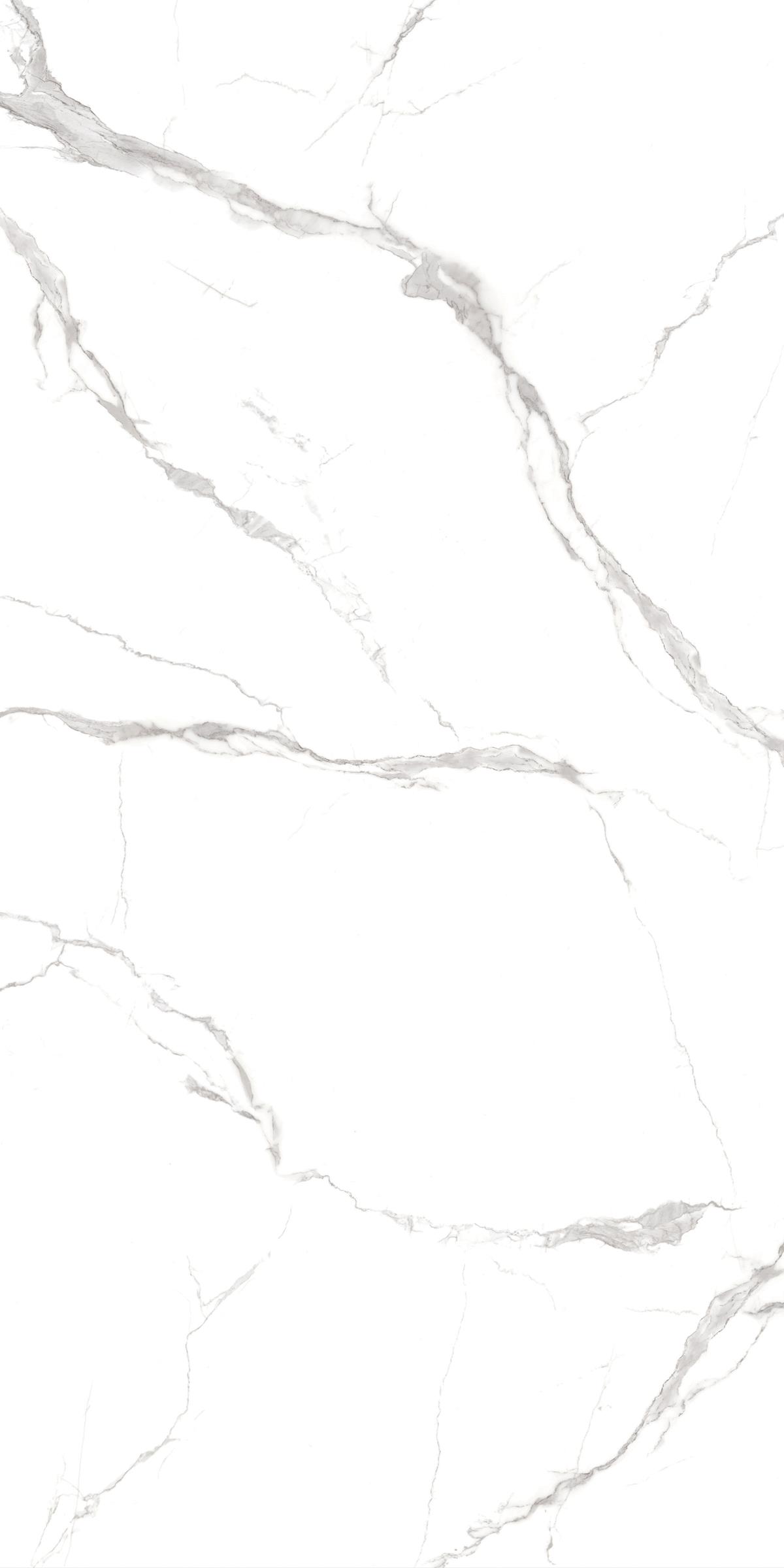 tu0255=statuario vivo(1200x2400x8face)(1) JC1 EDIT5 P3