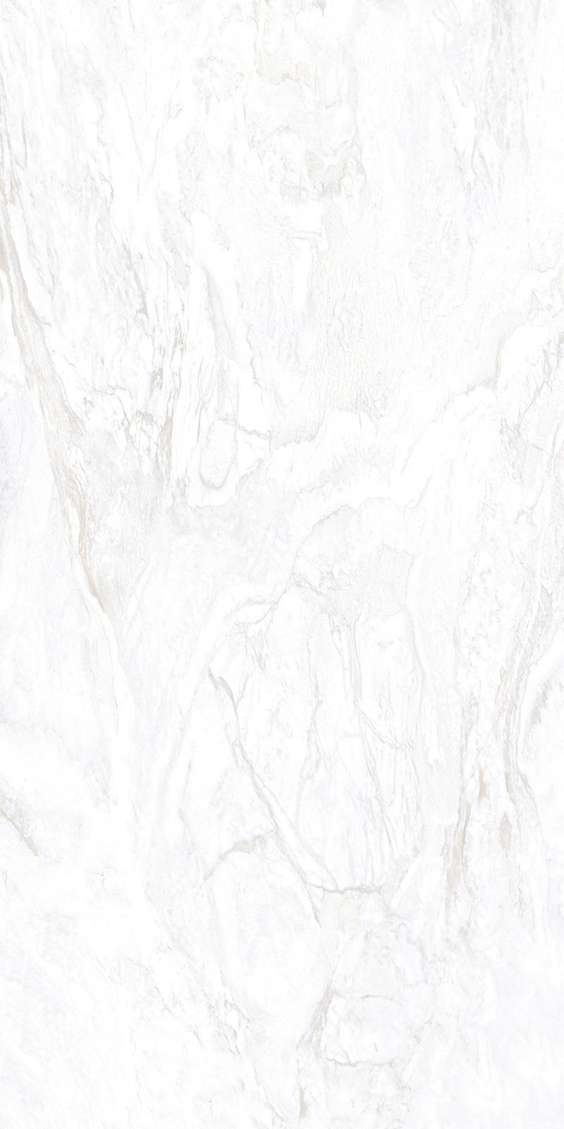 BAHIA WHITE_F1