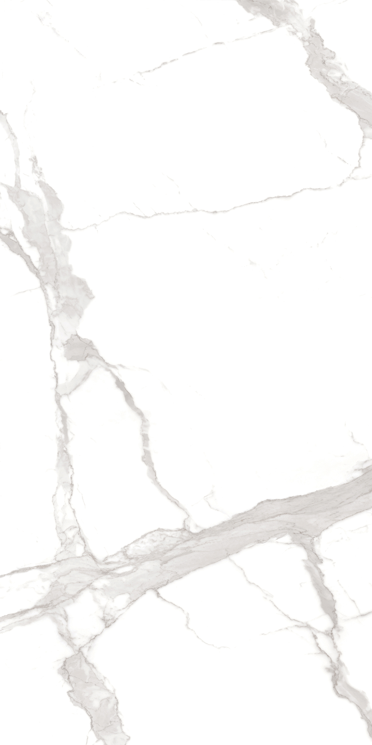 STATUARIO 120X240 JC2 P1
