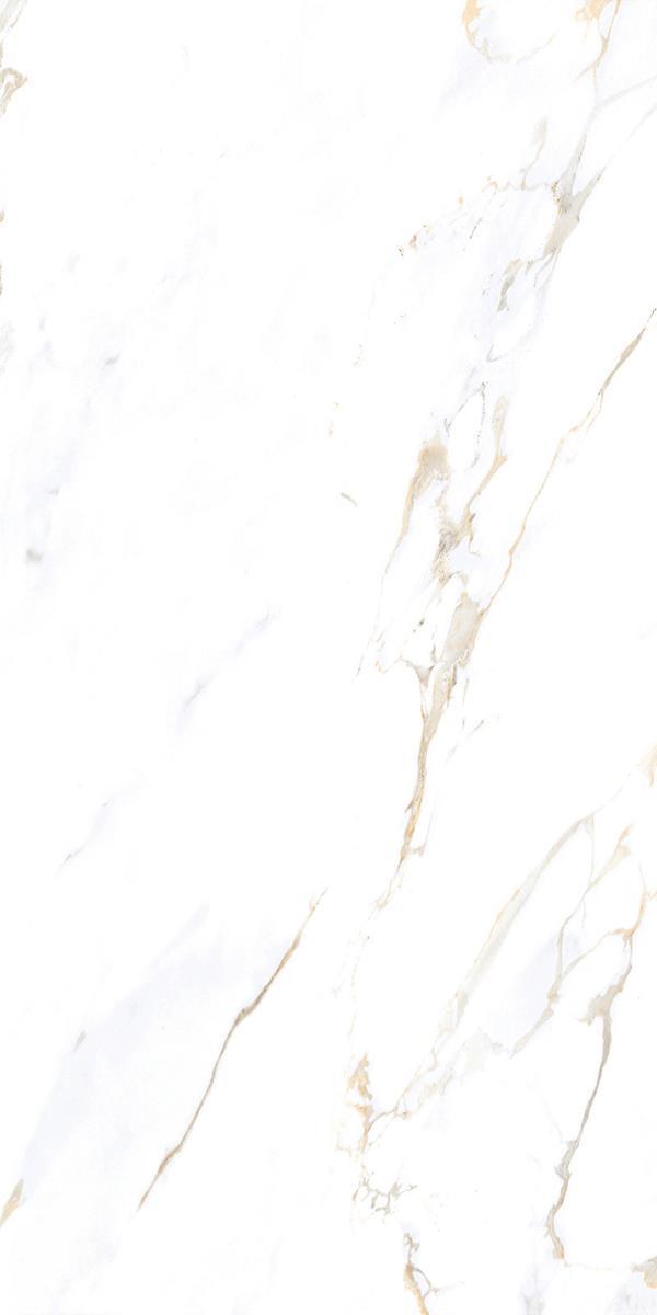 CALACUTTA CREMA_R2