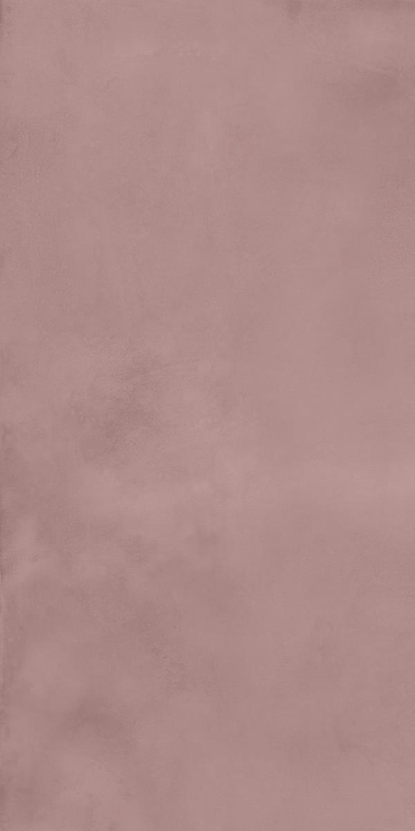 CLOUDY ORCHID_R2