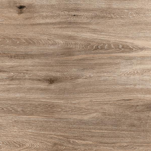 LINEA ASH copy 4