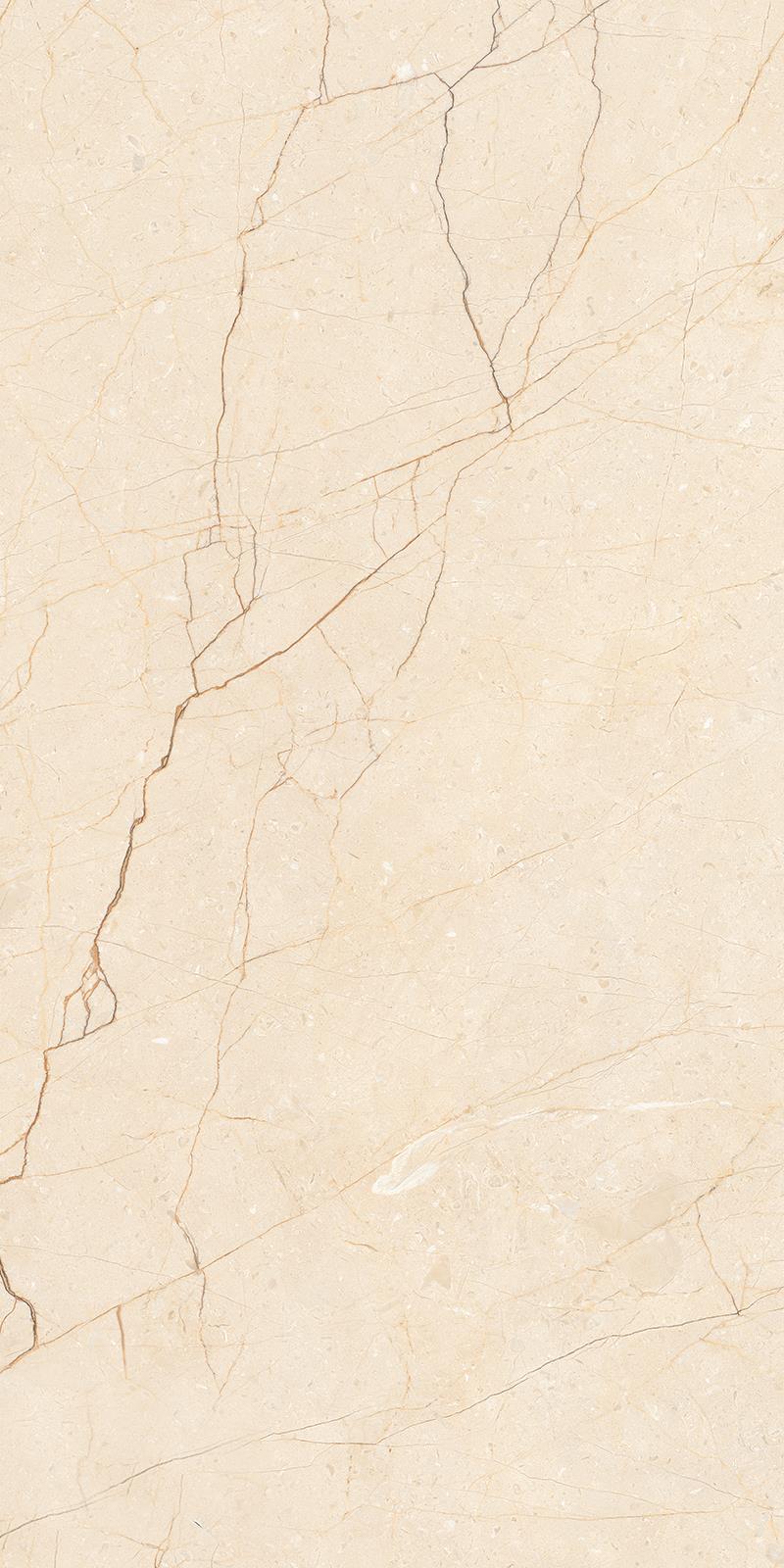 BERLINE BEIGE_P3
