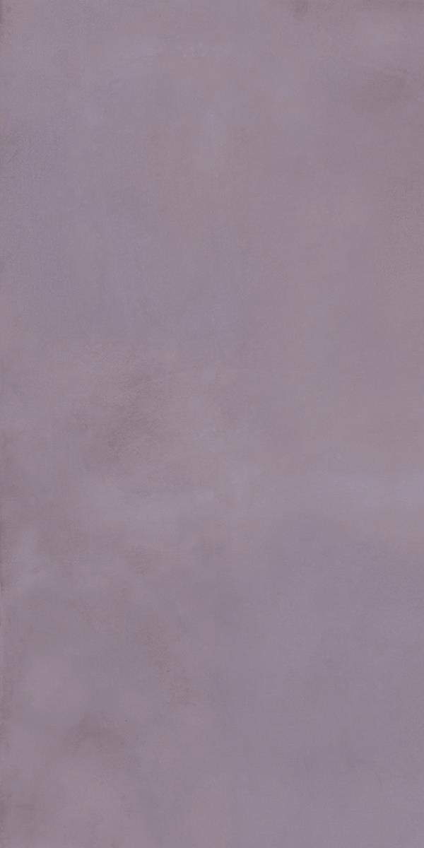 CLOUDY WILLOW_R2