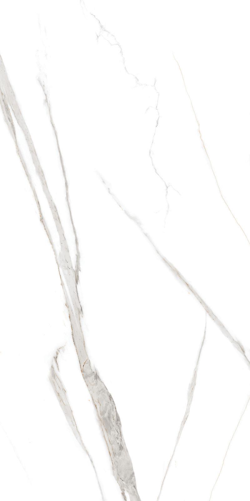 BURGAS WHITE_F4