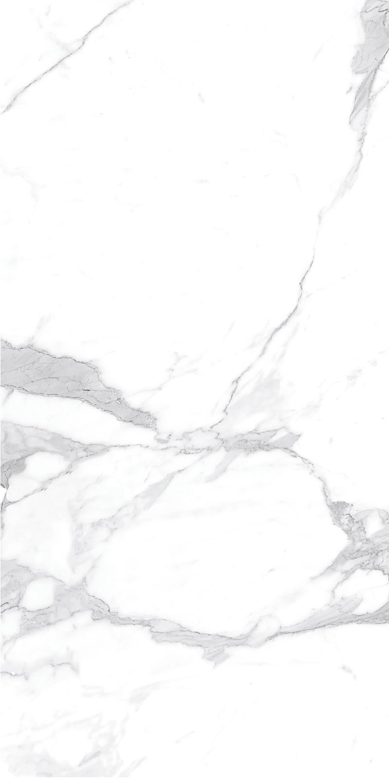 ANGEL WHITE_02