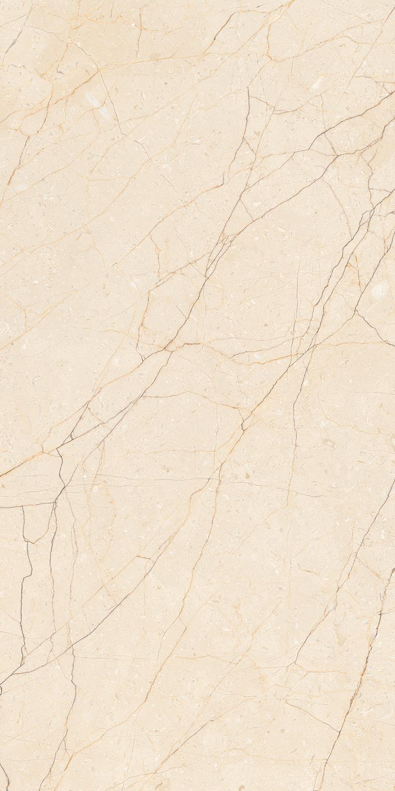 BERLINE BEIGE_P2
