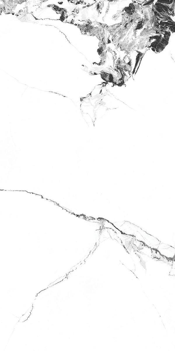 ALASKA WHITE_R4