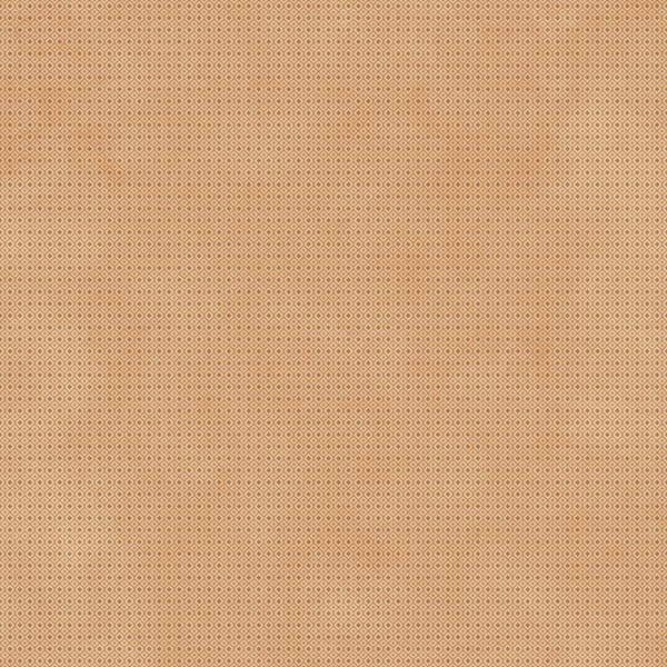 COBWEB BROWN DECOR 8
