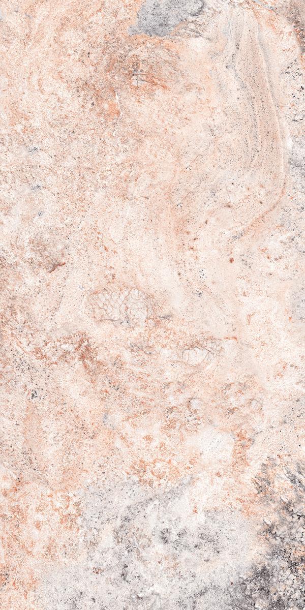 CAMALION CORAL PRIMA_R2