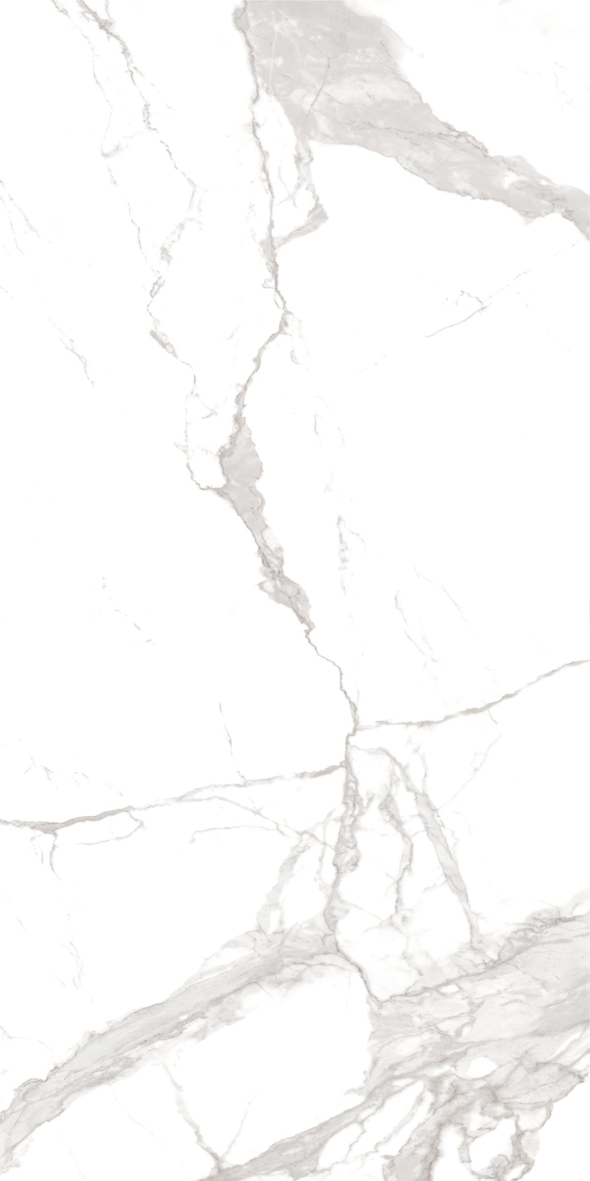 STATUARIO 120X240 JC2 P2