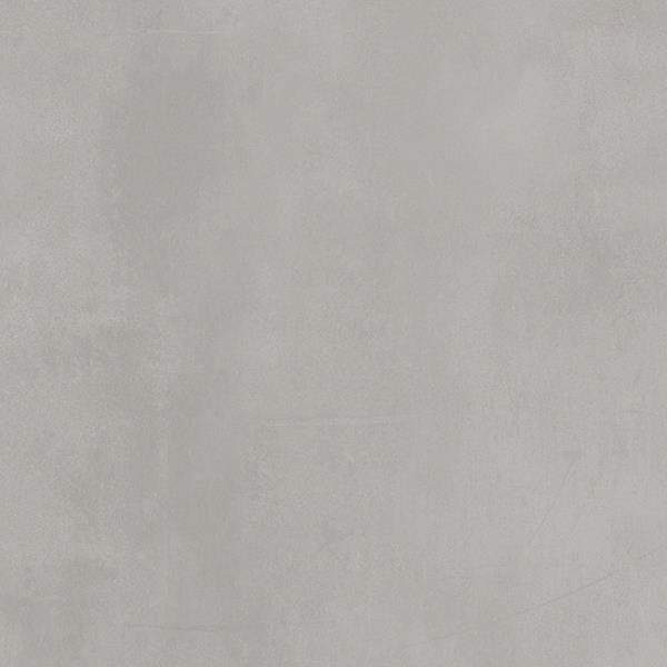 ALBINO GRIS copy 6