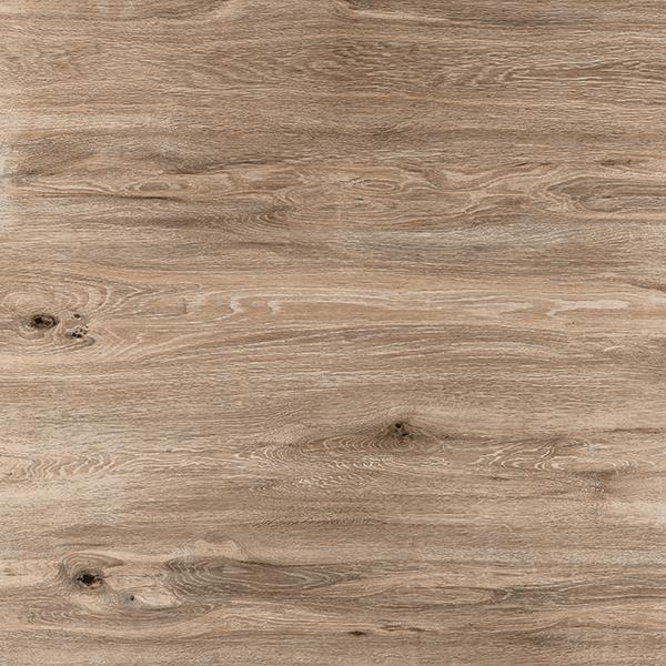 LINEA ASH copy