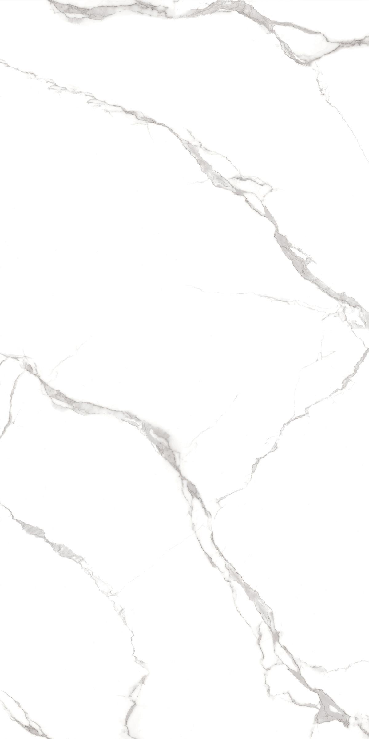tu0255=statuario vivo(1200x2400x8face)(1) JC1 EDIT5 P1