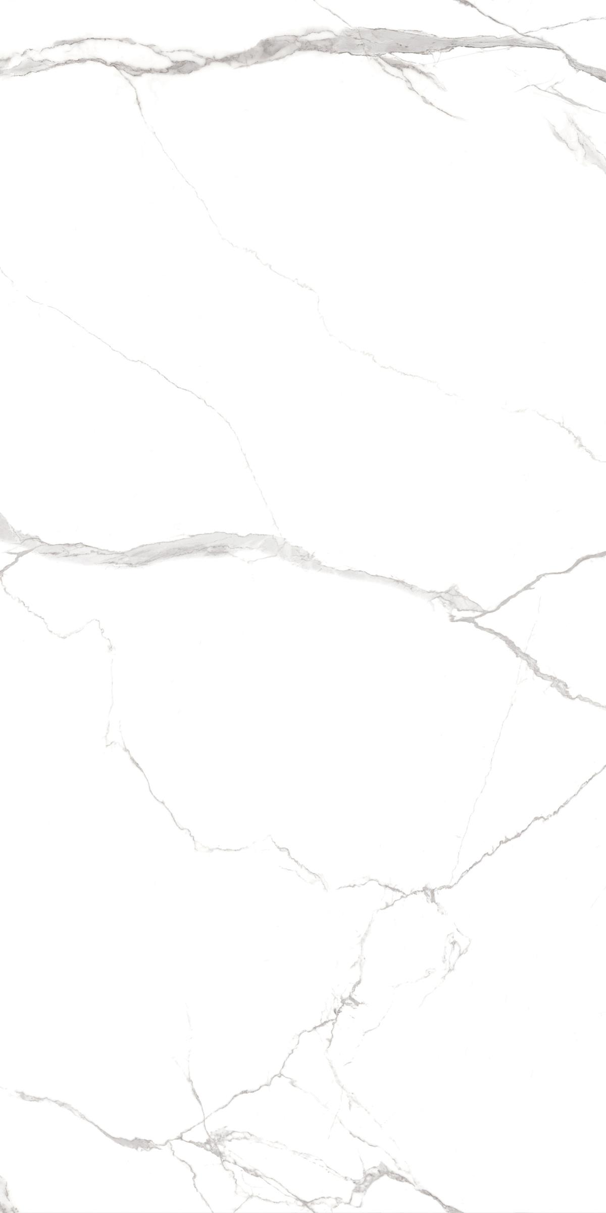 tu0255=statuario vivo(1200x2400x8face)(1) JC1 EDIT5 P2