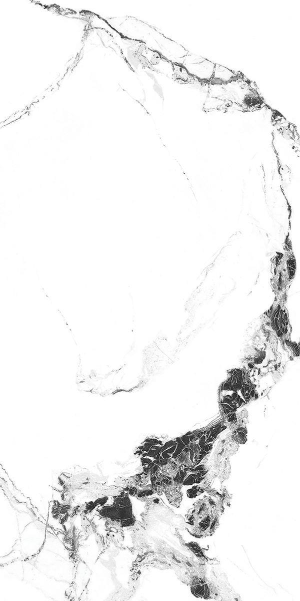 ALASKA WHITE_R2